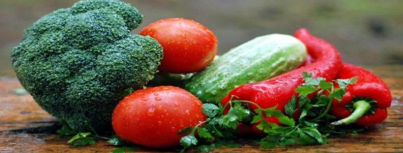personal trainer nutrition guide vegetables